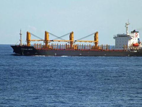  Cargo Handisize Built In China