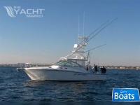 Rampage Express 38