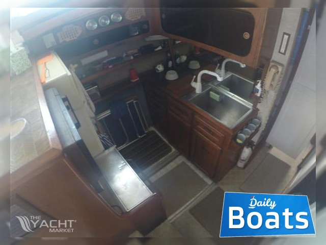 Buy 1977 Pacemaker 36