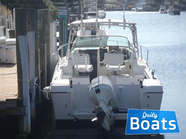 1996 Striper 2600 kaufen