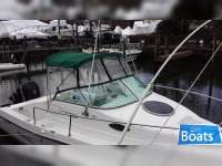 Seaswirl Striper 2300 Wa Four Stroke 225 Hp