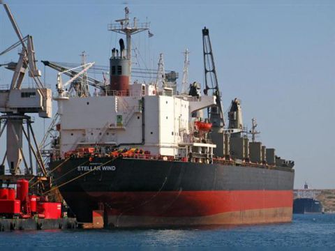 Cargo Bulker/Container/Mpp Lolo