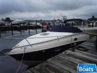 Rinker 250 Fiesta Vee