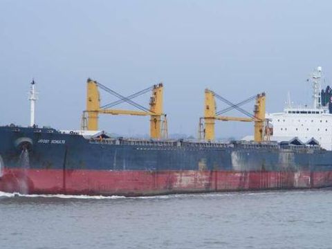 Cargo Class DNV-built in Japan
