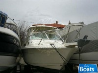 Scout Boats 245 Abaco