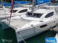 Robertson and Caine Leopard 38