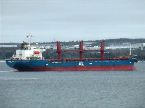 Cargo 2xBulkcarrier