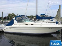 Sea Ray 300 Sundancer