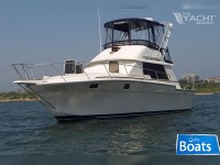 Silverton 34