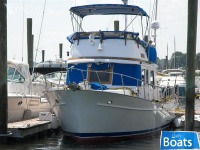 Marine Trader Trawler 36