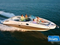 Sea Ray 300