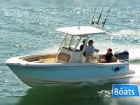 Scout Boat 245 XSF