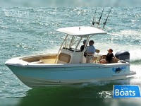 Scout Boat 245 Xsf