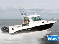 Striper 2901 Wa