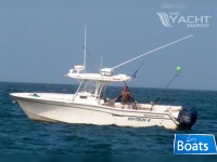 Grady White 306 Bimini