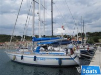 Del Pardo GS 41