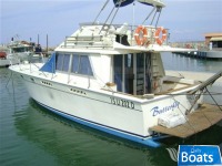 American Marine laguna 11,50