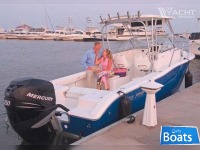 Sea Pro 238 Walk Around