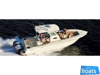 Scout Boat 275 Lxf