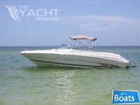 Searay 260 SIGNATURE