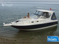 MURSAN MARIN 9.80 CUDDY