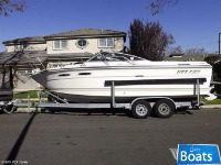 Sea Ray Srv 245