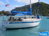 Pearson Day Charter Boat Business