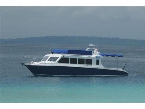 Custom Passenger Boat