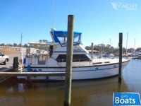 President 41 SUNDECK