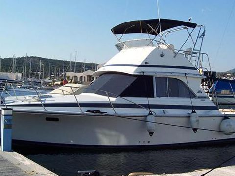 Bertram 35