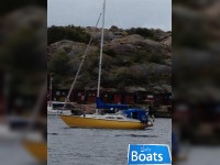 Bianca 31 Commander