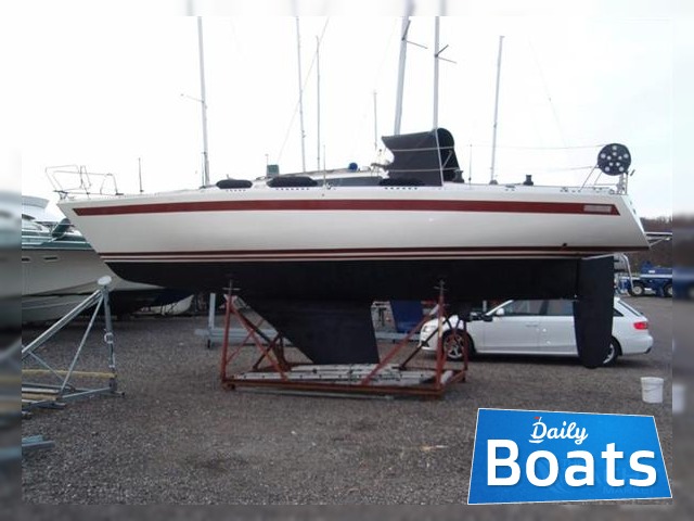 1983 Aphrodite 34