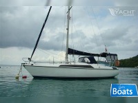 Petersen Maxi 9.5