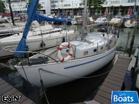 Moerman Zeelandia Zeelandia 9.20