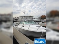 Robalo 2640 Walkaround