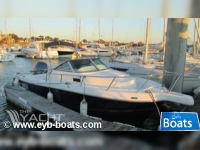 KELT WHITE SHARK 236