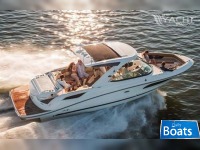 Sea Ray 350