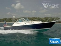Hunt Surfhunter 33