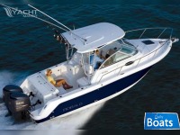 Robalo R265 Walkaround