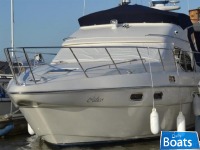 SEALINE F43