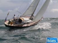 ILLINGWORTH11 MAICA