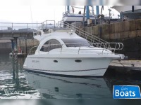 Rodman 30