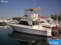 Blackfin Boats