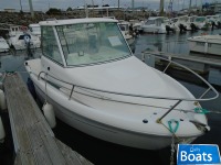 Sessa Marine 550 Ocean