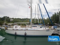 Bavaria 42