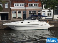 Drago 29