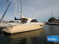 Mochi Craft 44 Dolphin