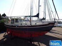 Danish Rose 31 Ms
