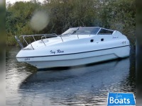 Sunline Discovery 31