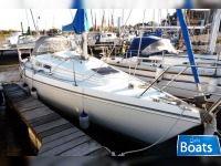 Hunter Horizon 30